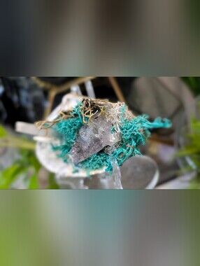 Amethyst & Selenite Crystals in Moss Seashell (stand Included)